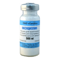 Оксациллин порошок для приготовления инъекционного раствора 500мг фото