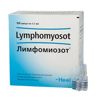 Лимфомиозот раствор для инъекций гомеопатический 1,1мл №100 фото